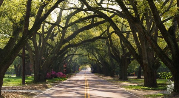 Skip Charleston And Head Straight To This Nearby Town For A Beautiful Day Trip