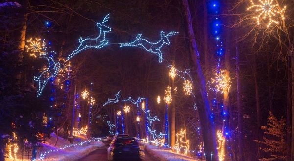 Take A Dreamy Ride Through The Largest Drive-Thru Light Show In Massachusetts, Bright Nights At Forest Park