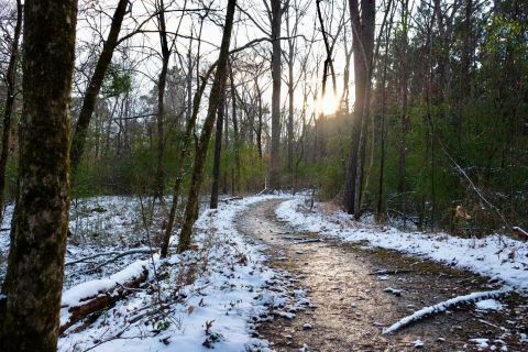 These 7 Nature Trails In Louisiana Are Perfect For A Short Winter Hike