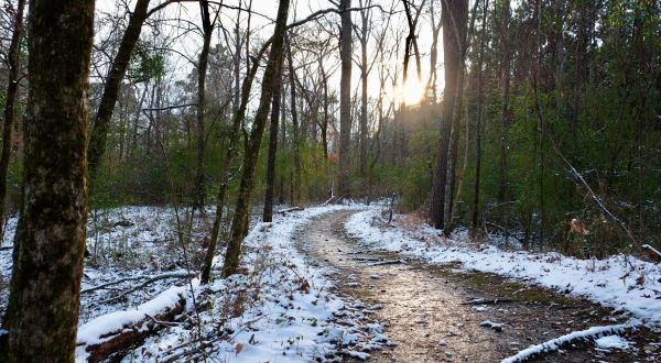 These 7 Nature Trails In Louisiana Are Perfect For A Short Winter Hike