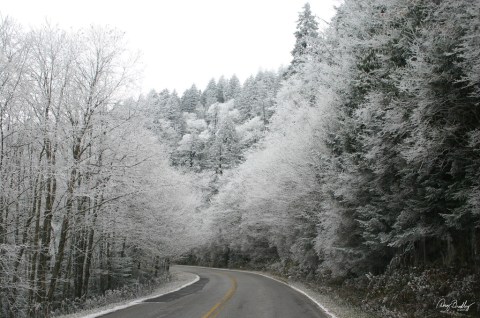 The One Tennessee State Park That Will Transform Into A Winter Wonderland This Year