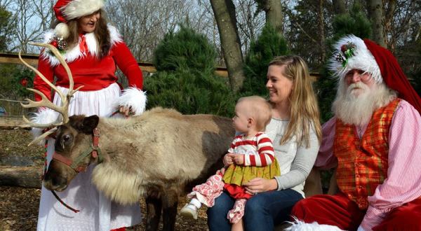 The Reindeer Festival In Kentucky That Will Positively Enchant You This Season