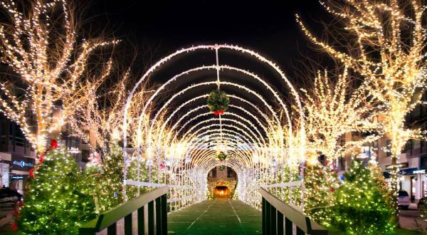 This Christmas Tree Trail Near Cleveland Is Like Walking In A Winter Wonderland