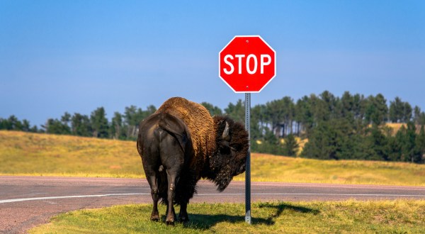 10 Incredible, Almost Unbelievable Facts About South Dakota