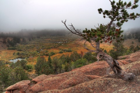 This Easy Fall Hike In Wyoming Is Under A Mile And You'll Love Every Step You Take