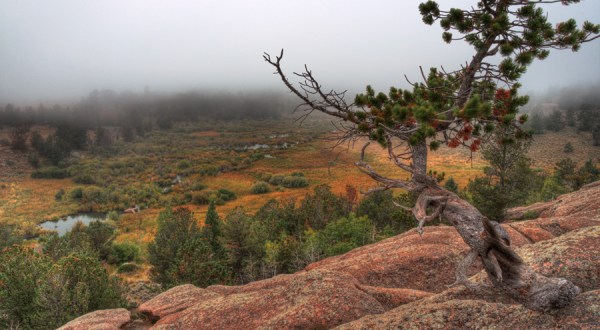 This Easy Fall Hike In Wyoming Is Under A Mile And You’ll Love Every Step You Take