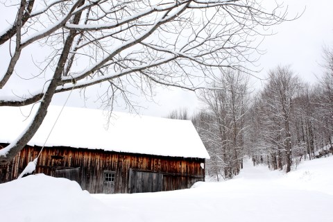 It's Impossible To Forget The Year Vermont Saw Its Single Largest Snowfall Ever