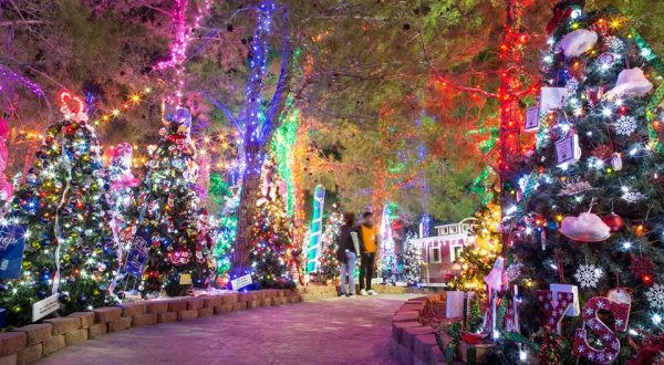 This Magical Forest In Nevada Will Make You Feel Like You’re In A Winter Wonderland