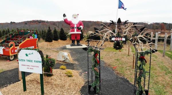 You’ll Want To Visit This Gigantic Christmas Farm In Connecticut With 100 Acres Of Trees