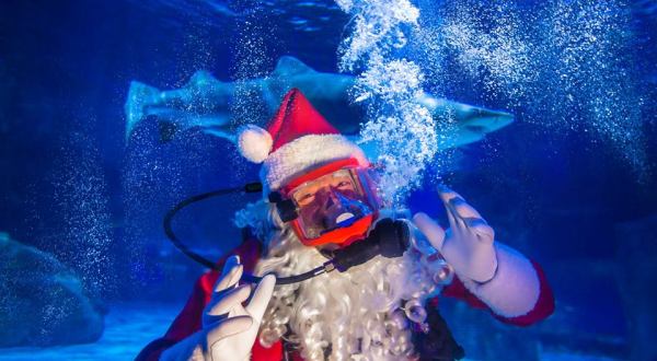You Can Visit An Underwater Santa At This One-Of-A-Kind Kentucky Attraction