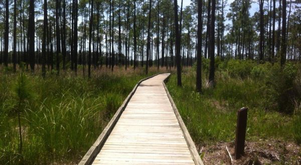 These 8 Incredible Hikes That Are Just A Short Drive From New Orleans