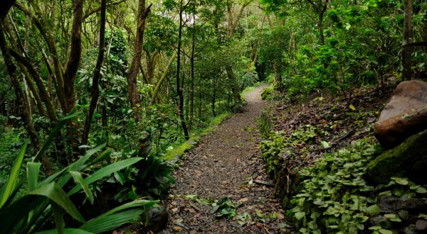 A Hike Through This Lush Hawaiian Valley Is Perfect For The Adventurous Soul