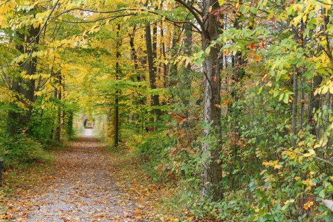 An Enchanting 562-Acre Park, The Rookery Is One Of Greater Cleveland’s Best Kept Secrets