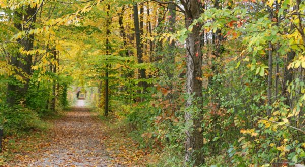 An Enchanting 562-Acre Park, The Rookery Is One Of Greater Cleveland’s Best Kept Secrets