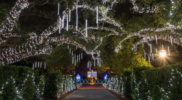 The Mesmerizing Christmas Display In New Orleans With Over Half A Million Glittering Lights