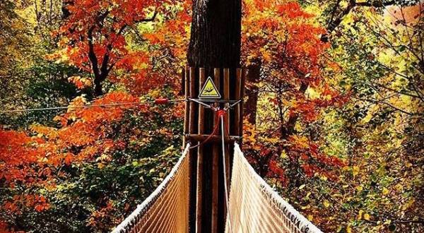 The Treetop Trail That Will Show You A Side Of Missouri You’ve Never Seen Before