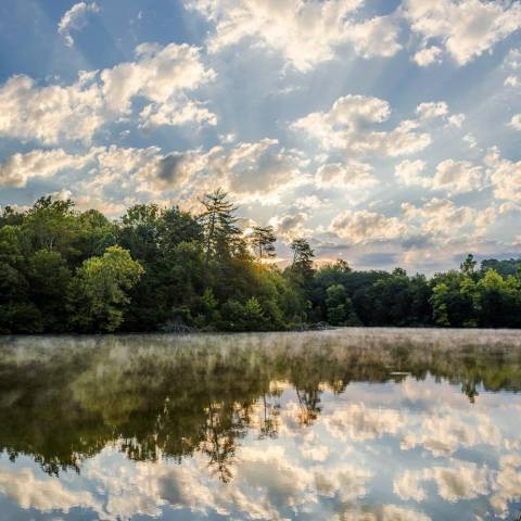 The 600-Acre State Park In Tennessee That Stands Out From The Rest