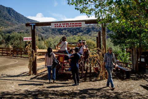 The Apple Butter Festival In Southern California Where You'll Have Loads Of Delicious Fun