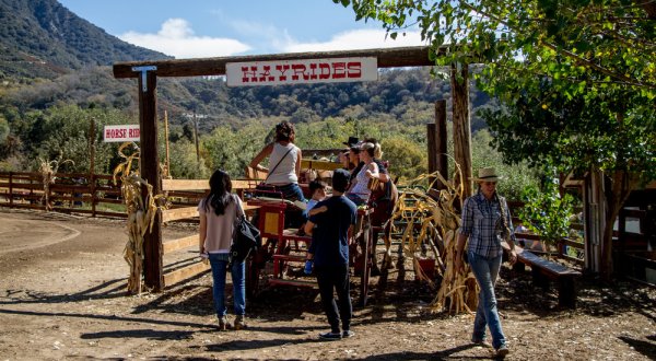 The Apple Butter Festival In Southern California Where You’ll Have Loads Of Delicious Fun
