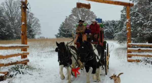 The Sleigh Ride In Missouri That’s A Picture-Perfect Winter Adventure