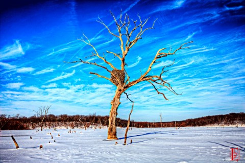 7 Kansas Trails That Look Just As Beautiful Covered In Snow