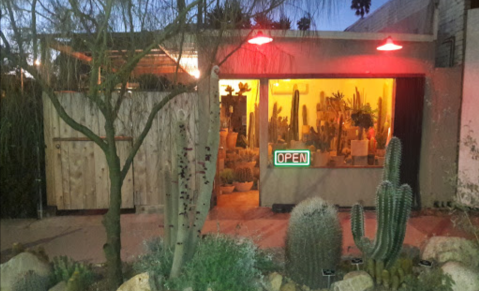 The One Of A Kind Store In Southern California Devoted Entirely To Cacti