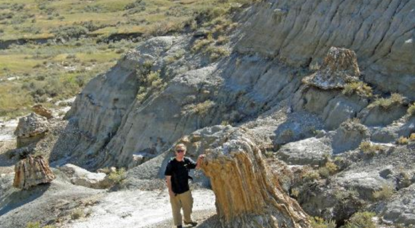 Hike To This Ancient Forest In North Dakota That’s Home To 55-Million-Year-Old Trees