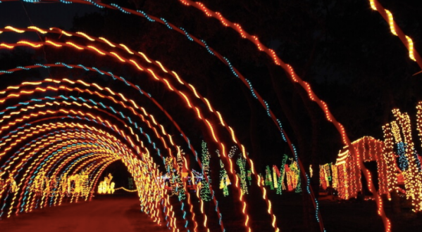 You Will Love This Dreamy Ride Through The Largest Drive-Thru Light Show Near Austin