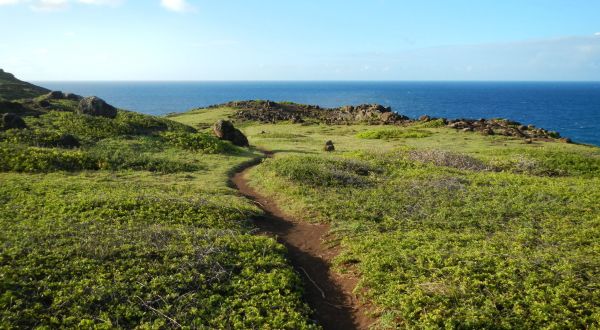 It’s Practically A Criminal Offense Not To Check Out This Easy Coastal Hike In Hawaii
