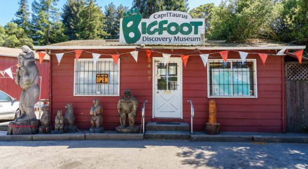 Most Northern Californians Have Never Heard Of This Fascinating Bigfoot Museum