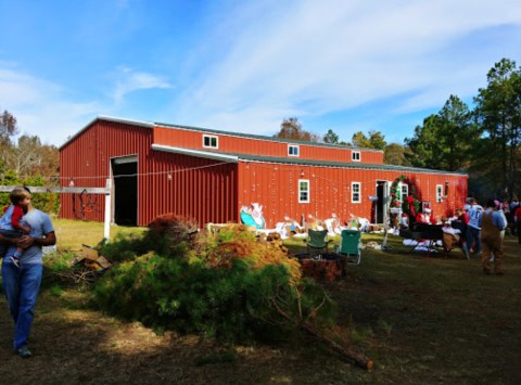 This Christmas Farm In South Carolina Is An Annual Must-Do