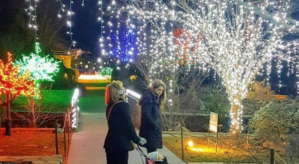Everyone Should Take This Spectacular Holiday Trail Of Lights In North Carolina This Season