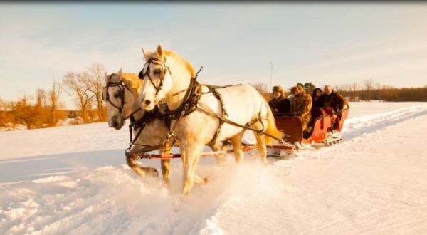 Take An Entrancing Horse-Drawn Sleigh Ride Through The Connecticut Countryside This Winter