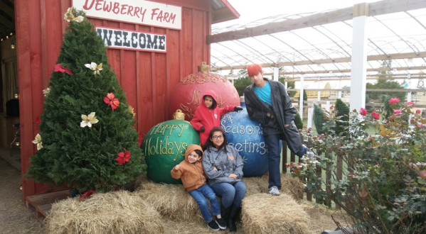 This Christmas Farm In Texas Is An Annual Must-Do