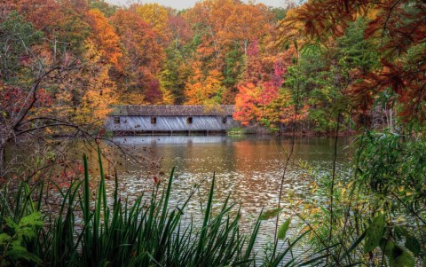 This Easy Fall Hike In Alabama Is Under 2 Miles And You'll Love Every Step You Take