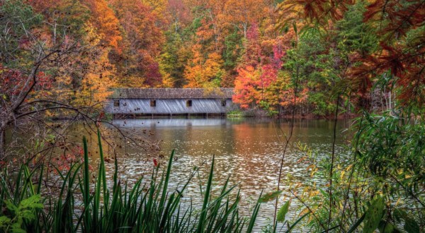 This Easy Fall Hike In Alabama Is Under 2 Miles And You’ll Love Every Step You Take