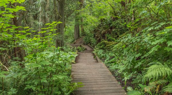 This Stunning Trail Shows Off 4 of Washington’s Finest Natural Wonders
