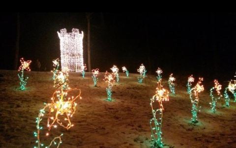 Families Will Absolutely Love This Free Holiday Light Extravaganza In Connecticut