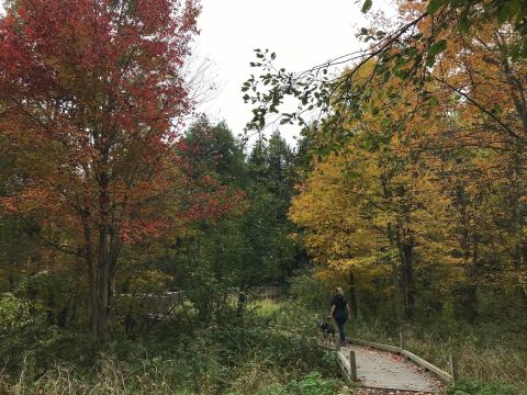 The Scenic Poetry Trail In Vermont You Need To Take This Fall