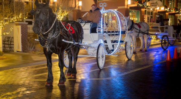 Take A Horse Drawn Carriage Ride In Oklahoma For A Night Of Pure Wonder