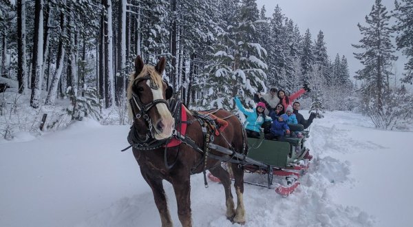 Embark On This Enchanting Sleigh Ride In Nevada For Unforgettable Holiday Memories