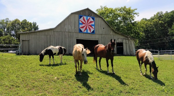 Take A Drive Through Rural Alabama To Experience This Colorful Barn Quilt Trail