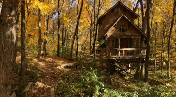 Stay The Night At This Off-The-Grid Treehouse Village In Illinois For A Whimsical Getaway