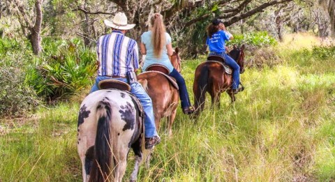 This Horse Trail Ride Will Take You Through Some Of Florida’s Best Nature Trails