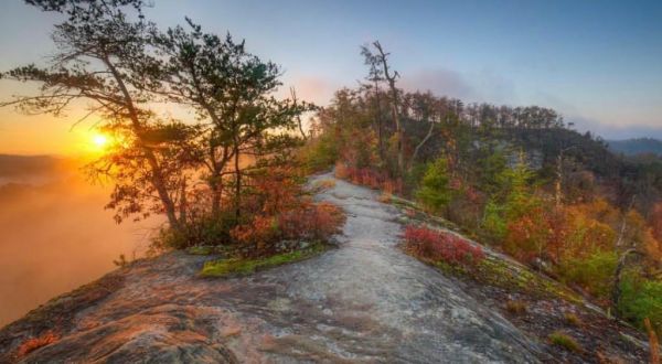 The One Heart-Stopping Hike That Everyone In Kentucky Should Experience