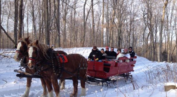This 50-Minute Michigan Sleigh Ride Takes You Through A Winter Wonderland