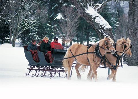 Enjoy A 25-Minute Sleigh Ride Through A Winter Wonderland In White Sulphur Springs In West Virginia