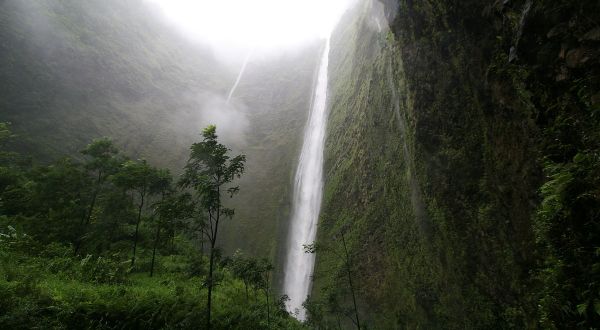 Most People Have Never Seen This Stunning Hawaiian Waterfall Up Close