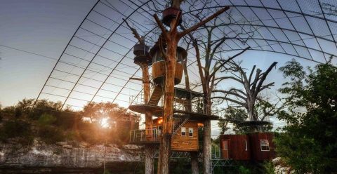 This Texas Treehouse Is One Of The Coolest Places In The Country To Spend The Night