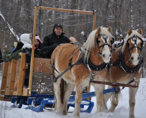13 Winter Attractions For The Family In Wisconsin That Don’t Involve Long Lines At The Mall